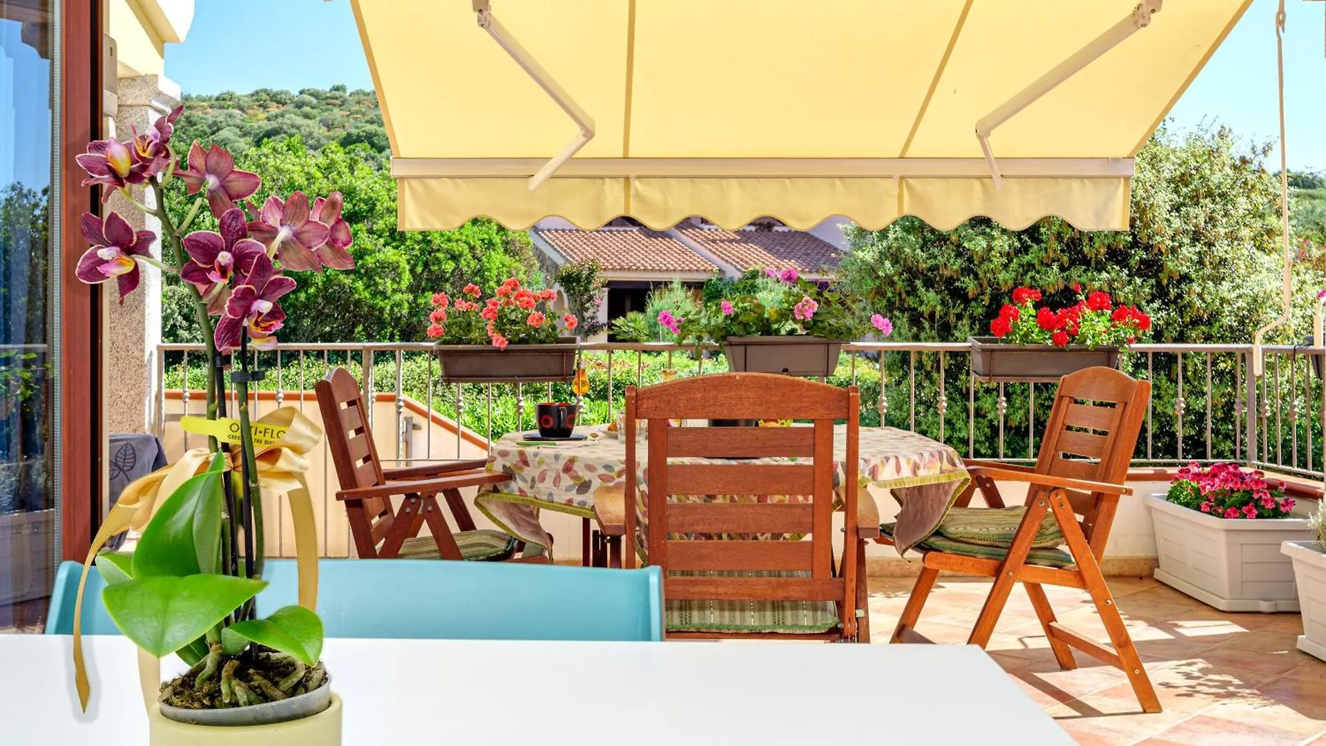 Agata Verde Con Terrazza E Giardino ポルト・オッティオル アパート